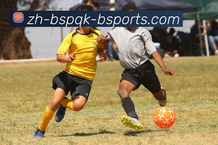 B体育APP 体育赛事宣传图